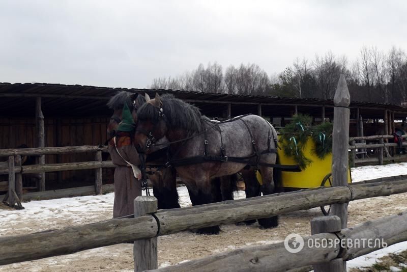 Під Києвом відкрилася резиденція Діда Мороза: запрошуються всі