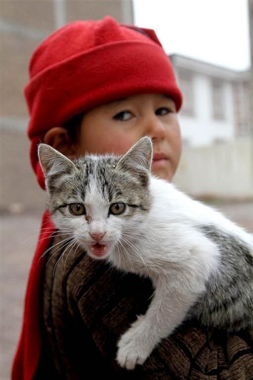 У світі тварин