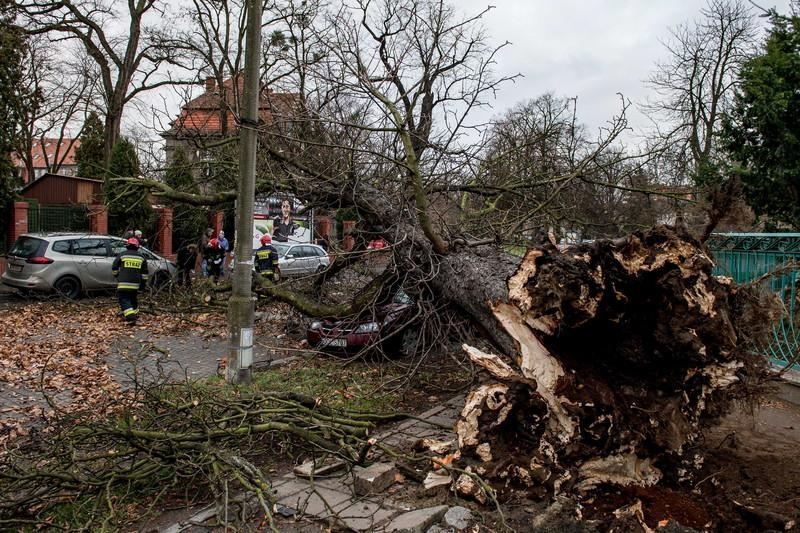В Северной Европе бушует шторм: есть жертвы