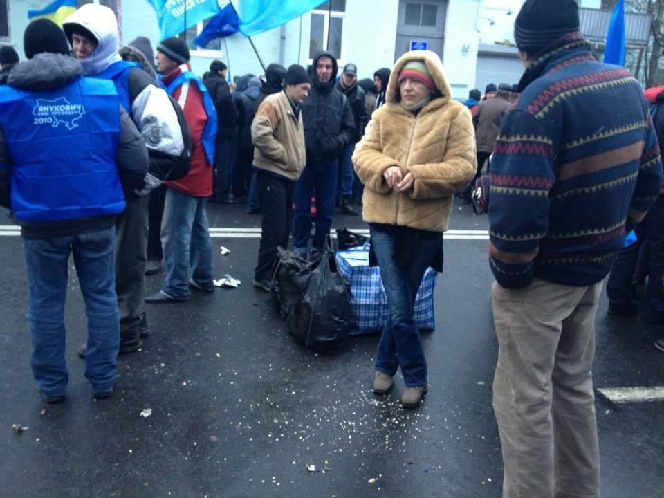 Партія регіонів нарахувала на своєму мітингу 15 тисяч активістів