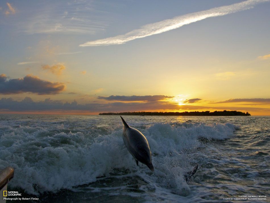 Фотографии недели от National Geographic. 02.02.2013