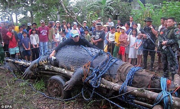 Жители Филиппин оплакивают самого большого в мире крокодила