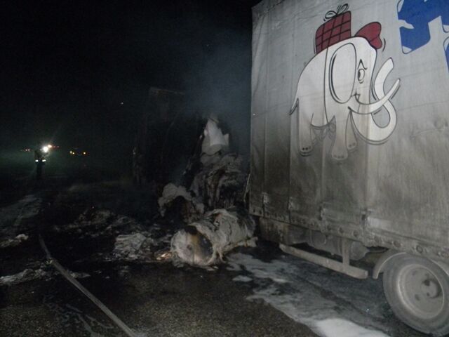 На трасі Одеса-Мелітополь згоріла вантажівка з туалетним папером