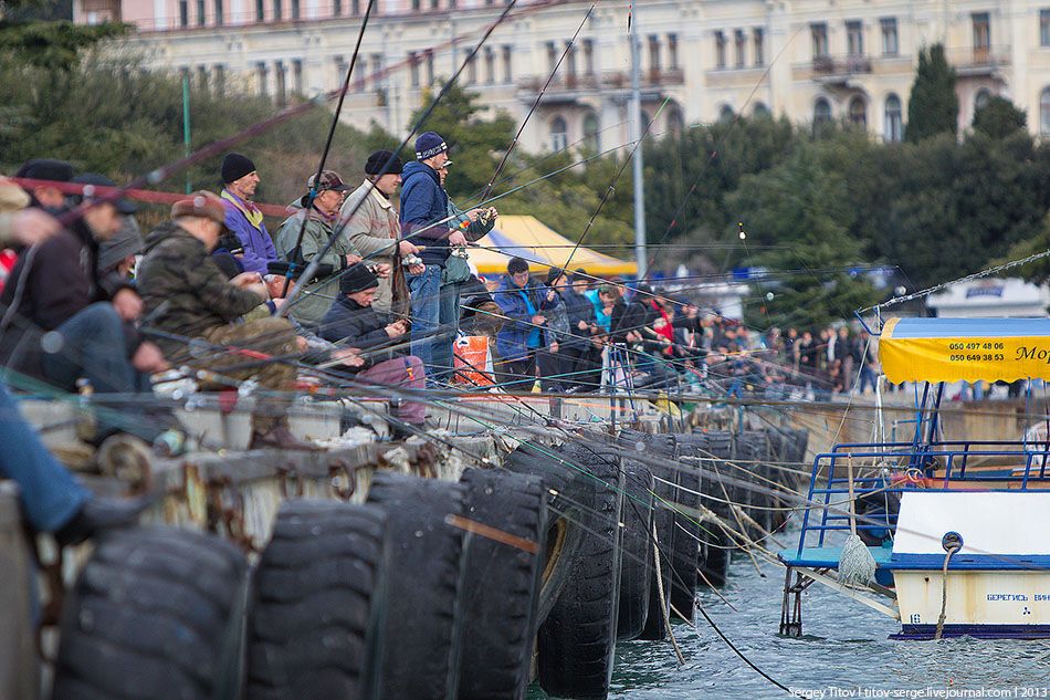 Ловля кефали в Ялтинском порту