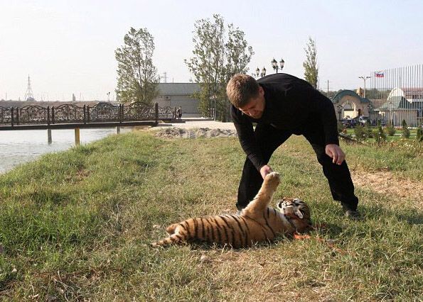 Домашние фото Кадырова стали хитами Интернета