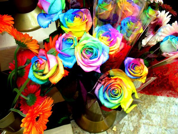 Самые дорогие розы в мире. Фото