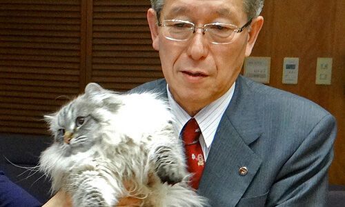 Японці дали коту, подарованому Путіним, символічне ім'я