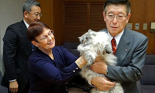 Японцы дали коту, подаренному Путиным, символичное имя