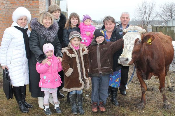 Собирали всей страной – украинцы купили многодетной семье корову. Фото
