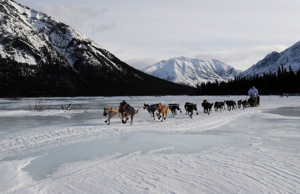 Гонка на собачих упряжках Iditarod-2013