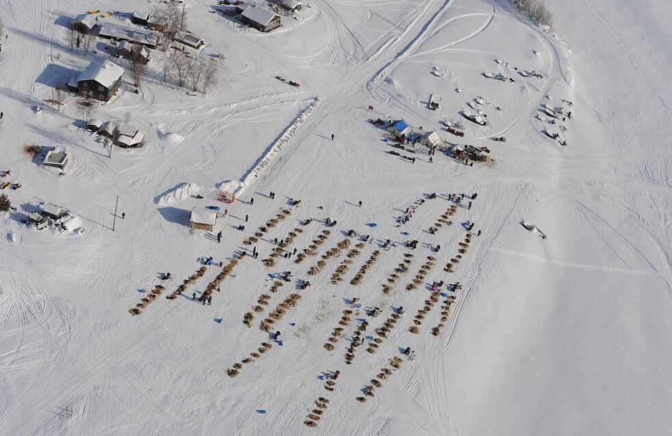 Гонка на собачих упряжках Iditarod-2013