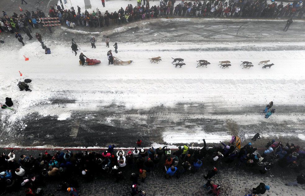 Гонка на собачьих упряжках Iditarod-2013