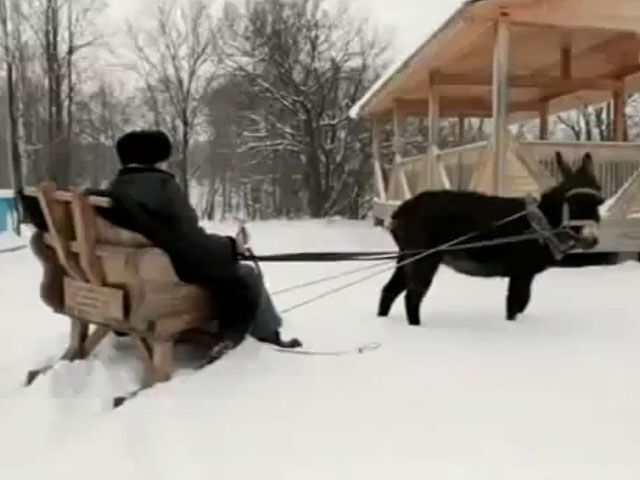 Жириновский продал избитого им осла