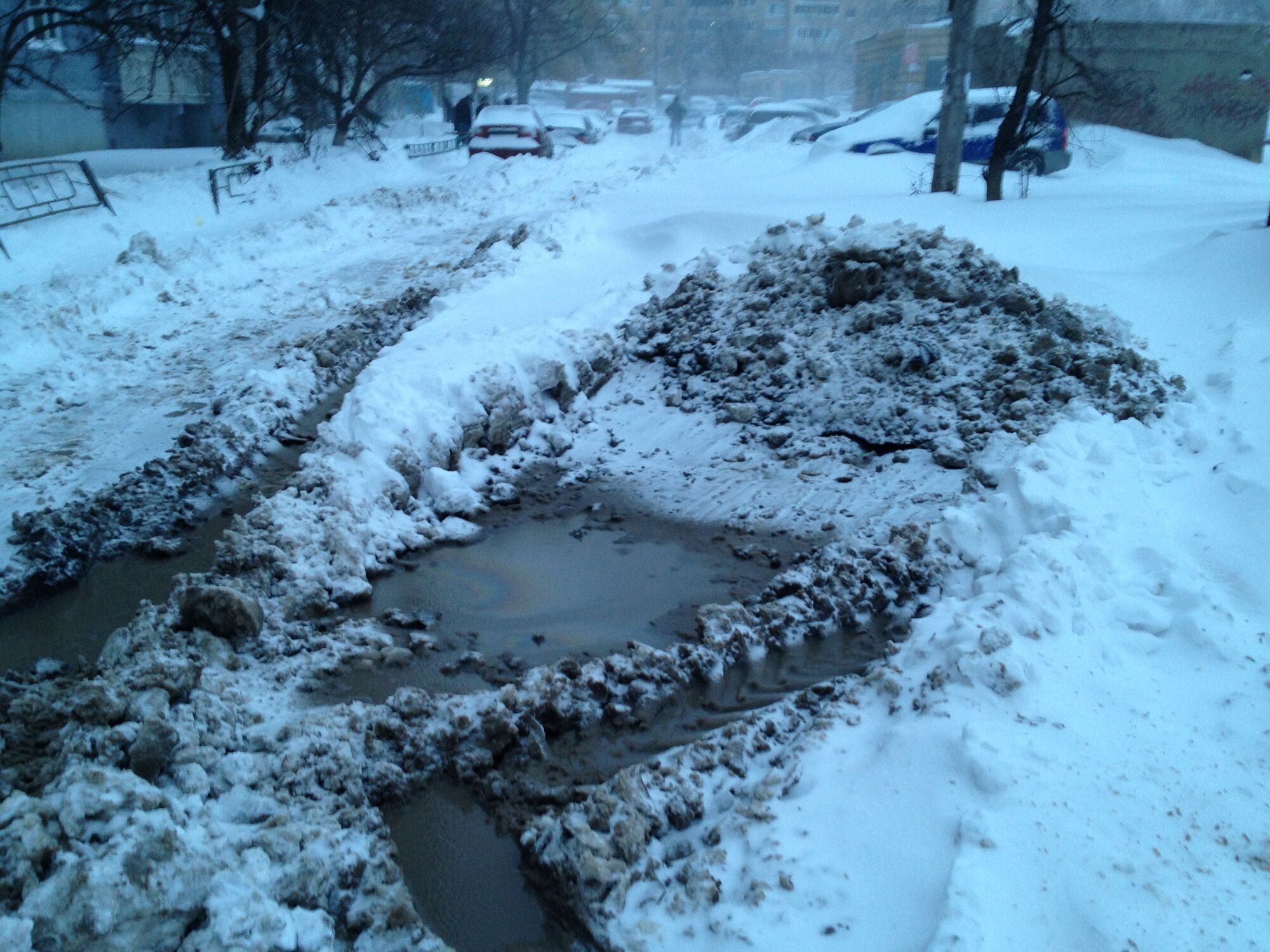 Київ під снігом