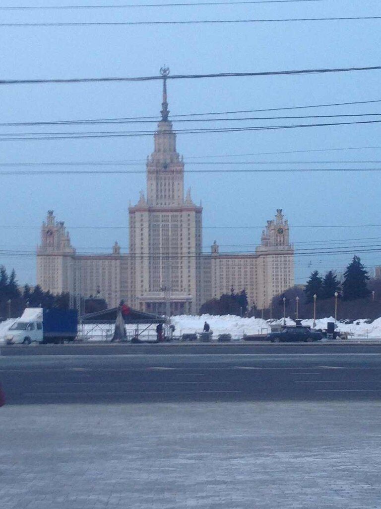 Стихія, яка паралізувала Київ, дісталася до Москви. Фото