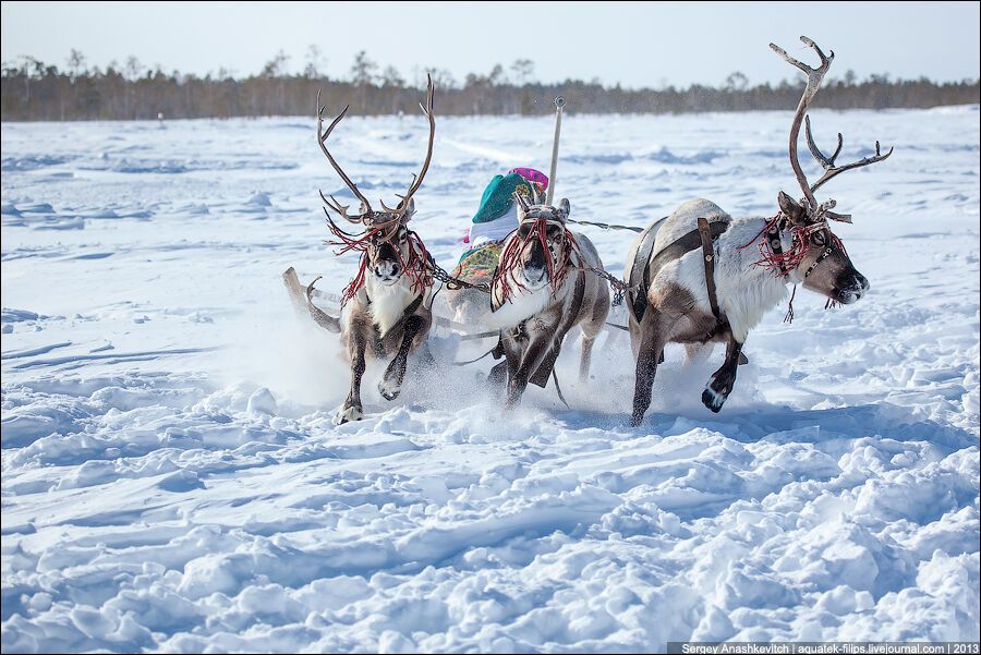 День рыболова, охотника и оленевода в Югре