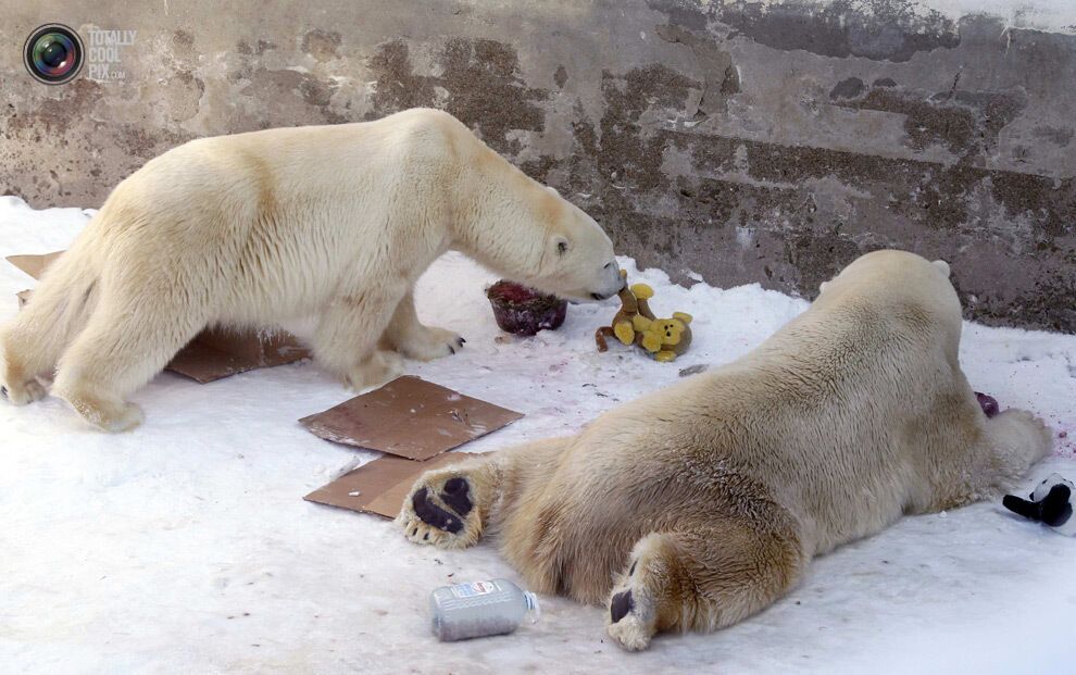 Неделя в фотографиях - 05.03.2013
