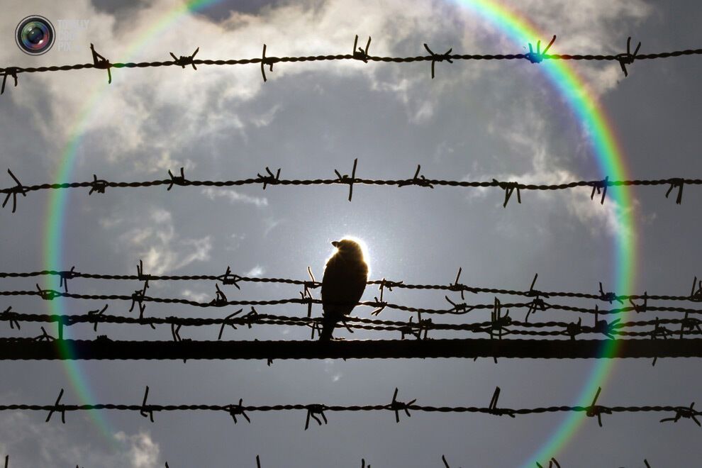 Неделя в фотографиях - 05.03.2013