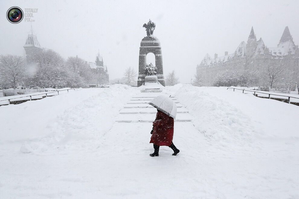 Тиждень у фотографіях - 05.03.2013