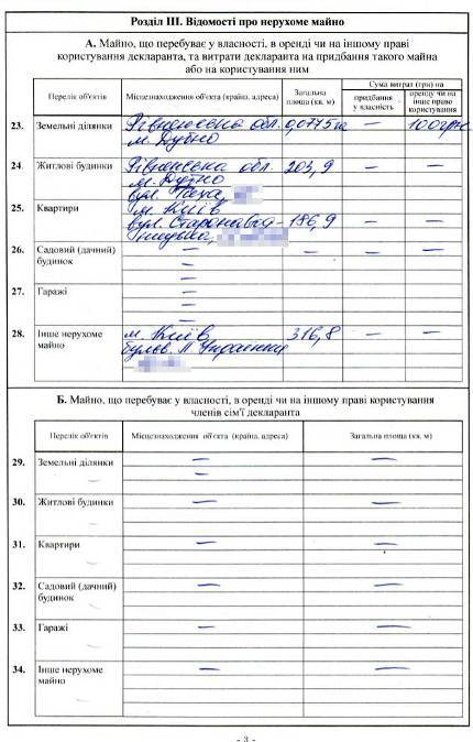 Жена Луценко получила более 22 млн грн дохода в 2012 г.