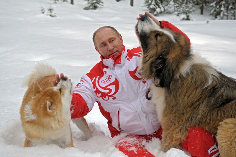 Путин повалялся в снегу вместе с собаками. Фото