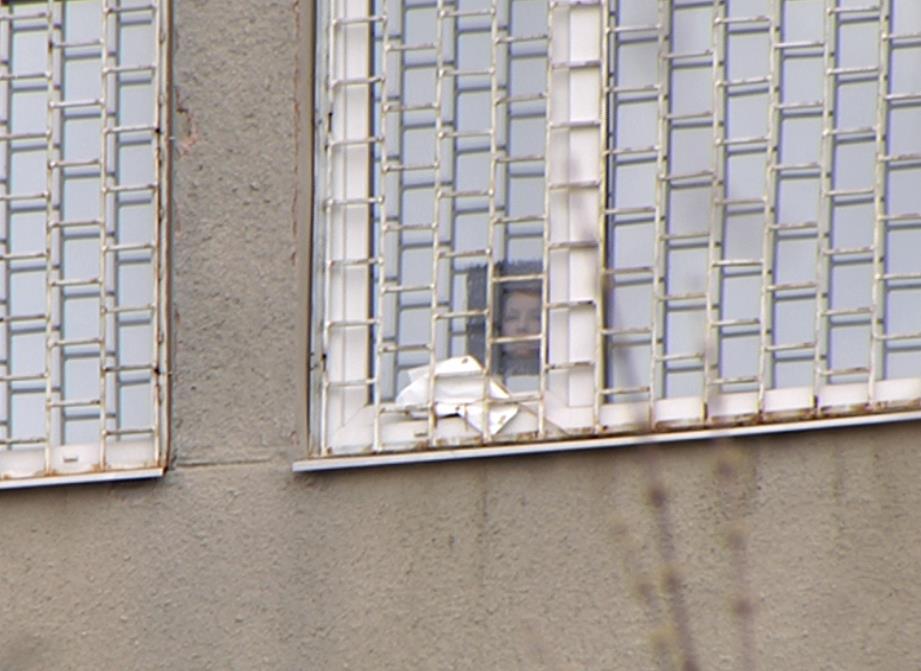 Тимошенко здалася прихильникам з вікна. Фото