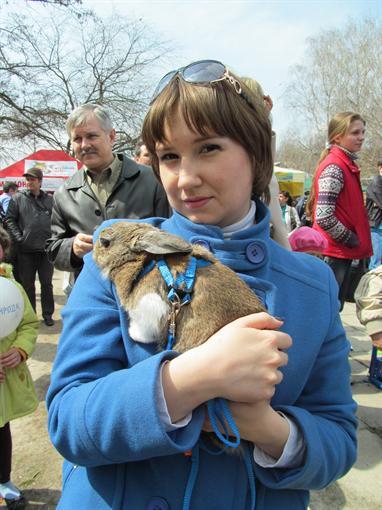 У Харкові пройшли перші в Україні кролячі перегони