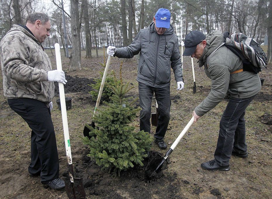 В Киеве на субботник пришли 84,5 тыс. человек