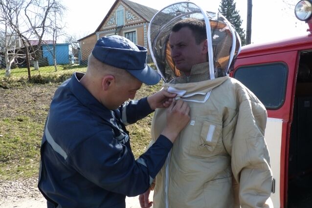 На Рівненщині рятувальники провели спецоперацію проти шершнів