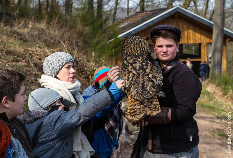 Парк хищных птиц в Германии