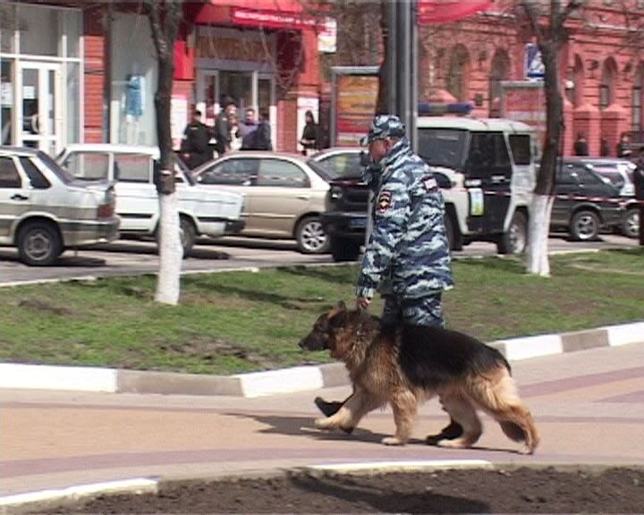 За белгородского стрелка обещают $0,1 млн