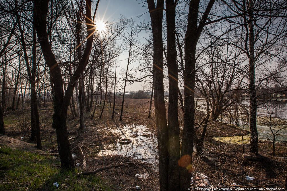 Літак Брежнєва в українському городі