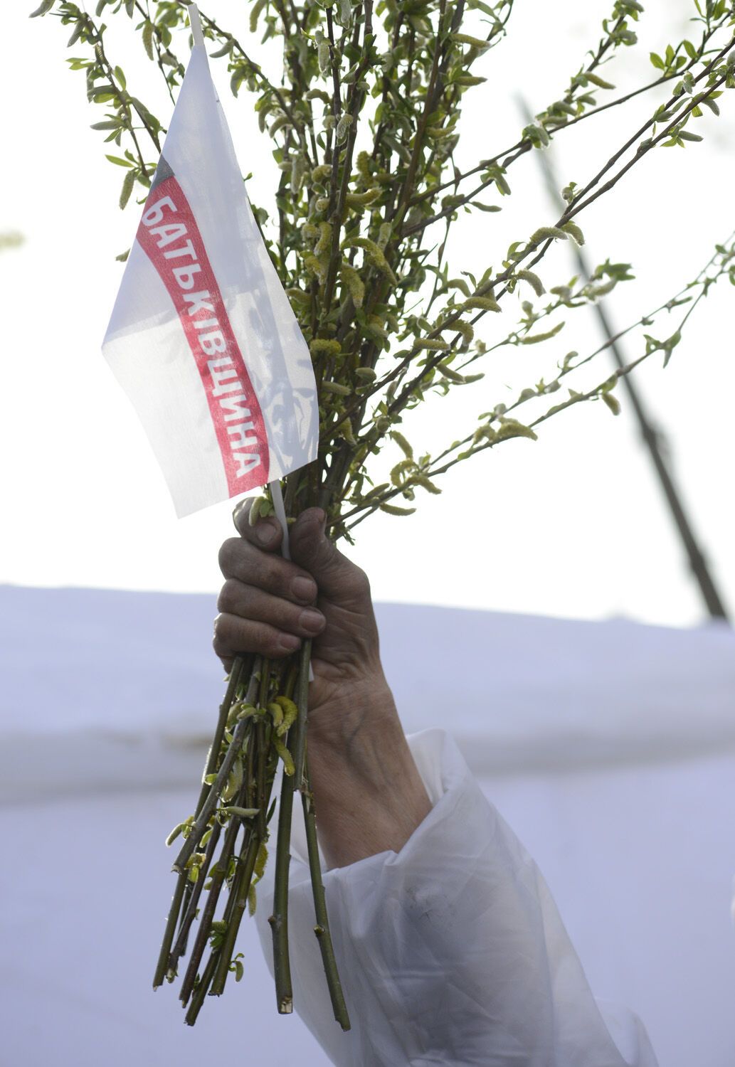 Оппозиция насчитала 5 тыс. "повстанцев" в Черкассах