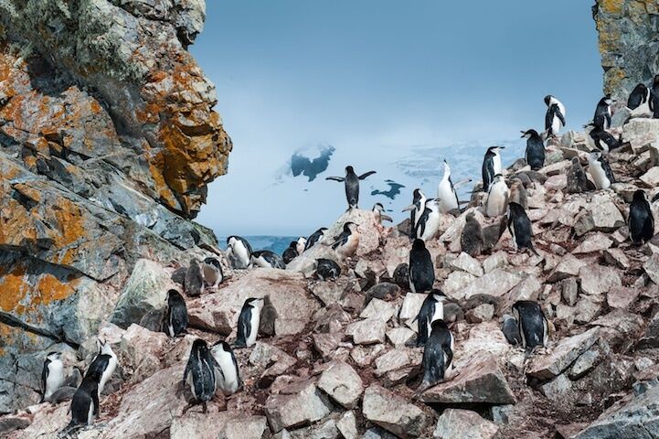 Потрясающие снимки с фотоконкурса от National Geographic