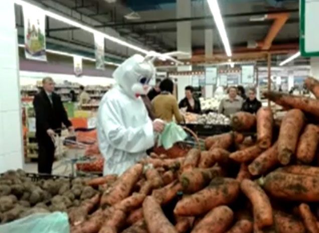Гигантские кролики устроили в Сумах "морковь-шоу" к приезду Яценюка