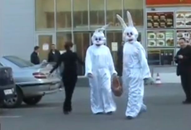 Гигантские кролики устроили в Сумах "морковь-шоу" к приезду Яценюка