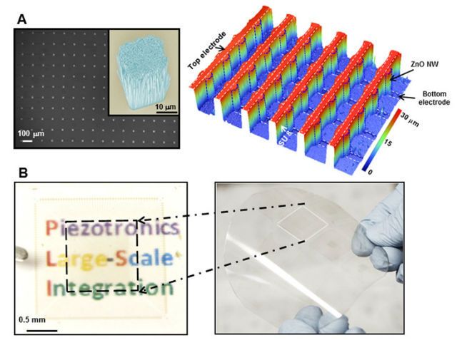 Американские ученые создали "искусственную кожу"