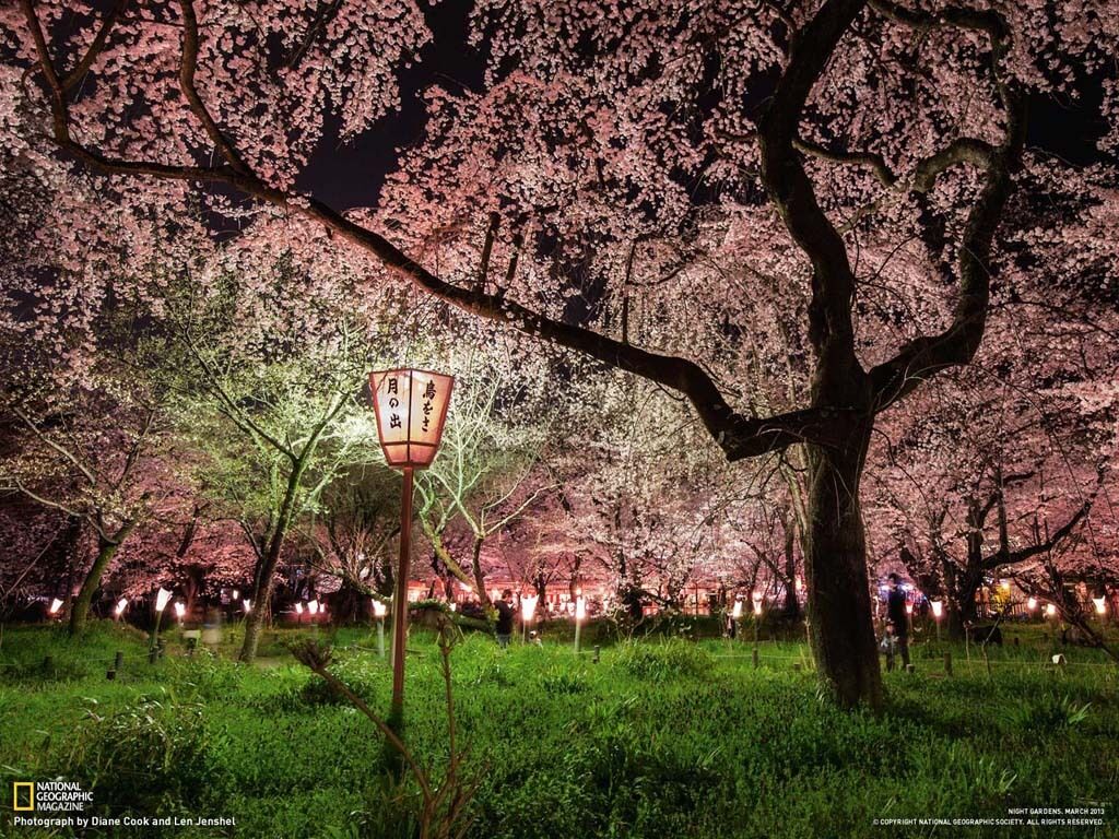 Лучшие фото марта от National Geographic