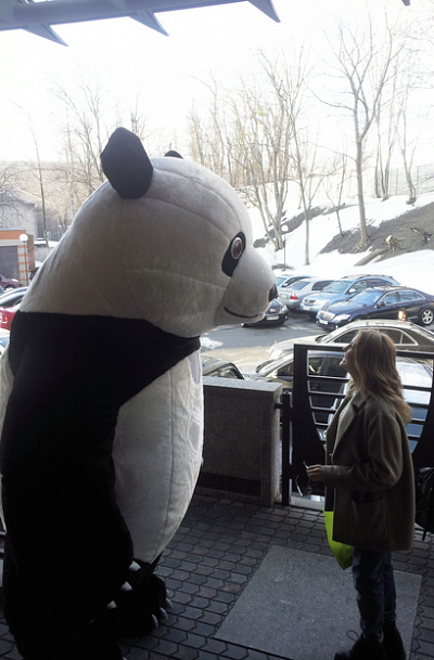 Ева Бушмина встретила 24-летие в объятиях панды. Фото