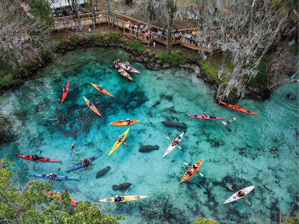 Лучшие фото марта от National Geographic