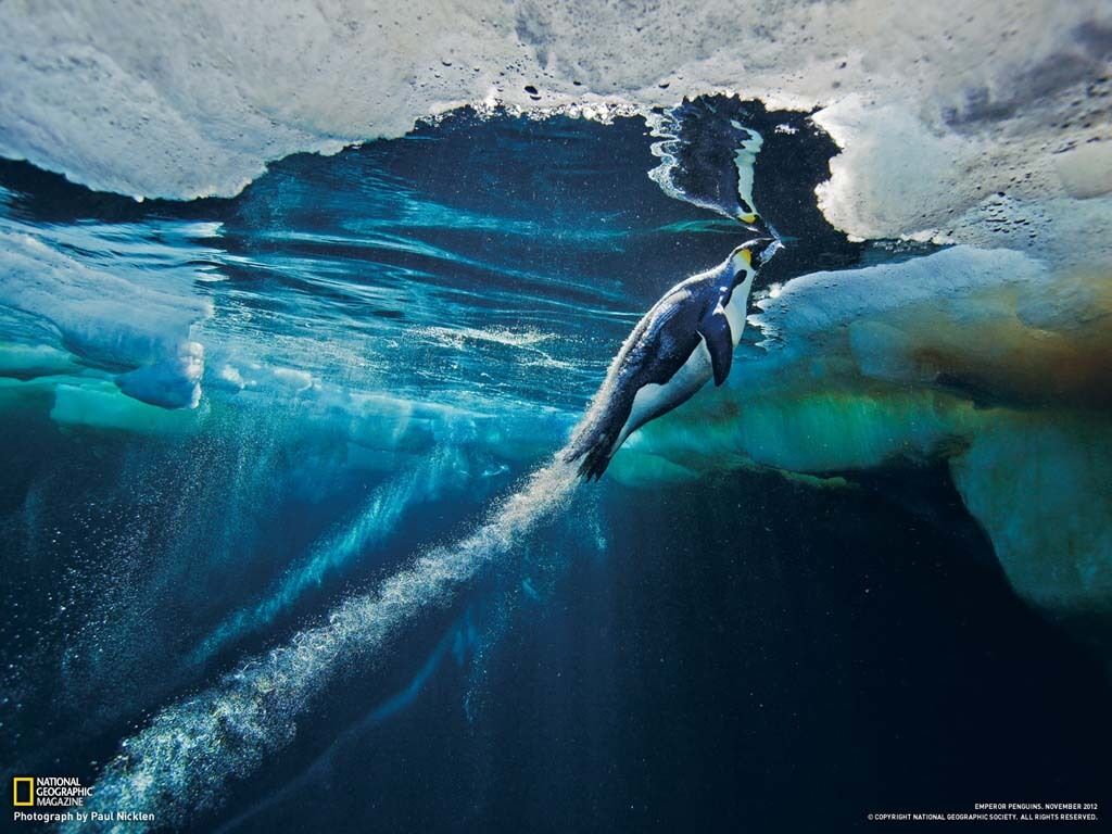Лучшие фото марта от National Geographic