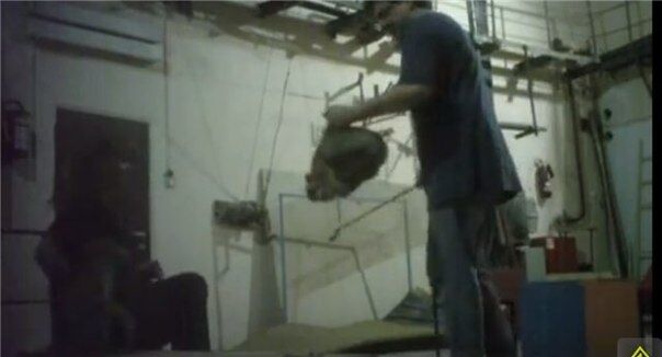 В России известный дрессировщик избивал животных металлической палкой