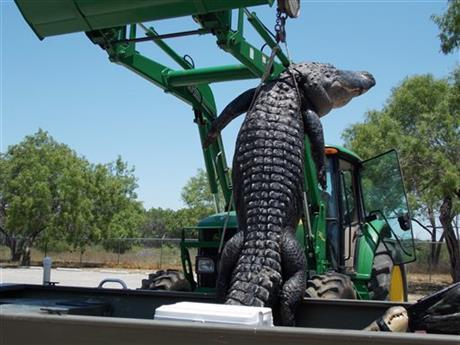 В Техасе подросток застрелил 360-килограммового аллигатора