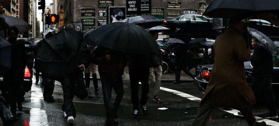 Полювання на стереотипи