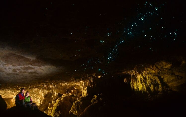 Новая Зеландия: потрясающие пещеры светлячков Ваймото
