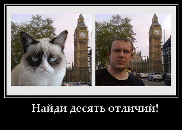 Самый суровый турист стал героем фотожаб