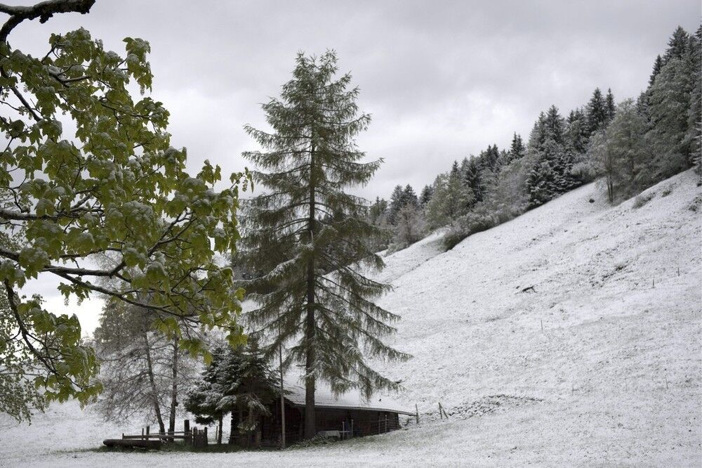 Під кінець весни в Європі випав сніг