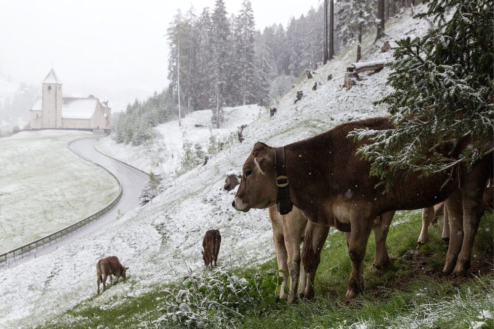 Под конец весны в Европе выпал снег