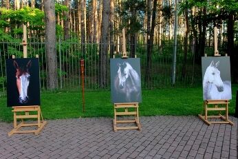 Под Киевом состоялось грандиозное ночное спортивное шоу