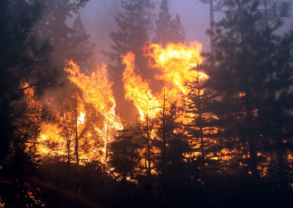 Сотні американців покинули свої будинки через пожежу